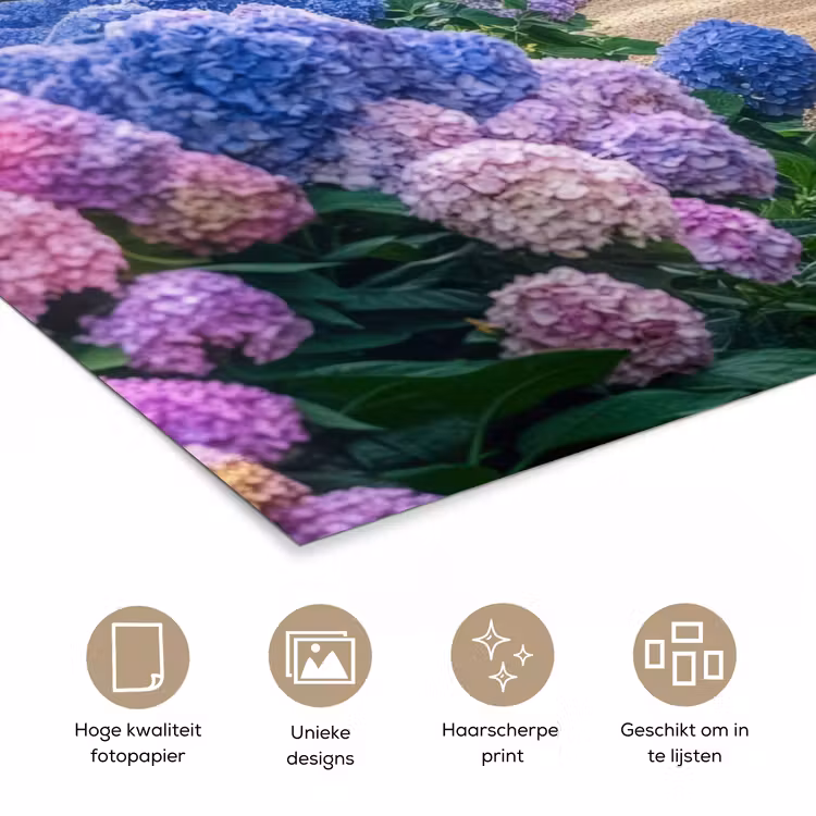 Poster - Hortensia- Park - Pad — 5