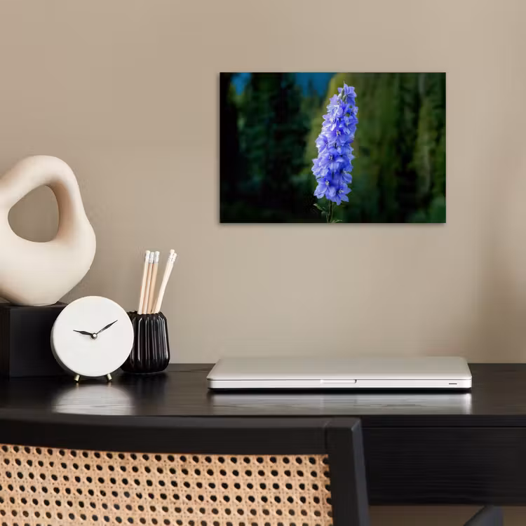 Poster - Bloemen - Blauw - Dennenboom — 2