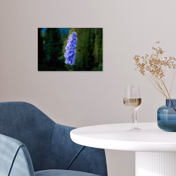Poster - Bloemen - Blauw - Dennenboom — 4