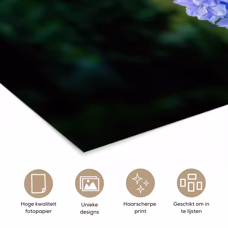Poster - Bloemen - Blauw - Dennenboom — 5
