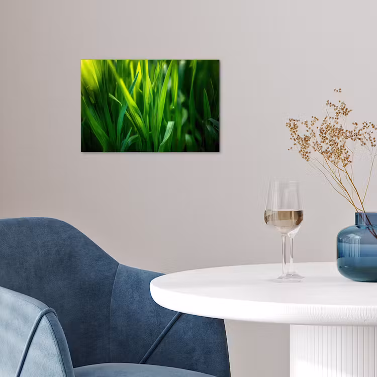Poster - Grassprieten - Lichtinval - Groen — 4