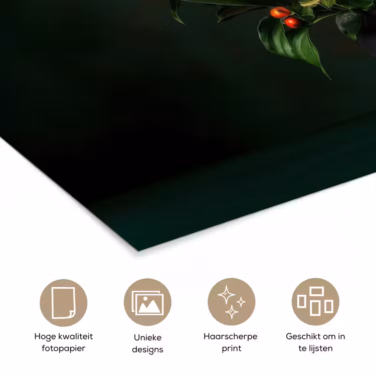 Poster - Bloemen - Vaas - Zwart — 5