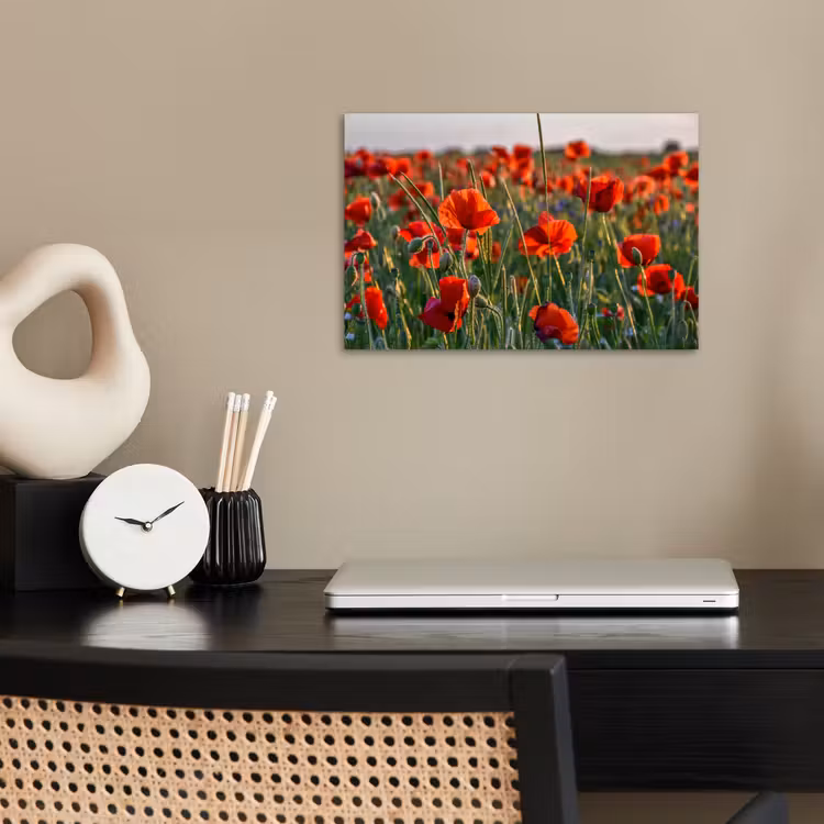 Poster - Bloemen - Klaprozen - Natuur - Rood — 2