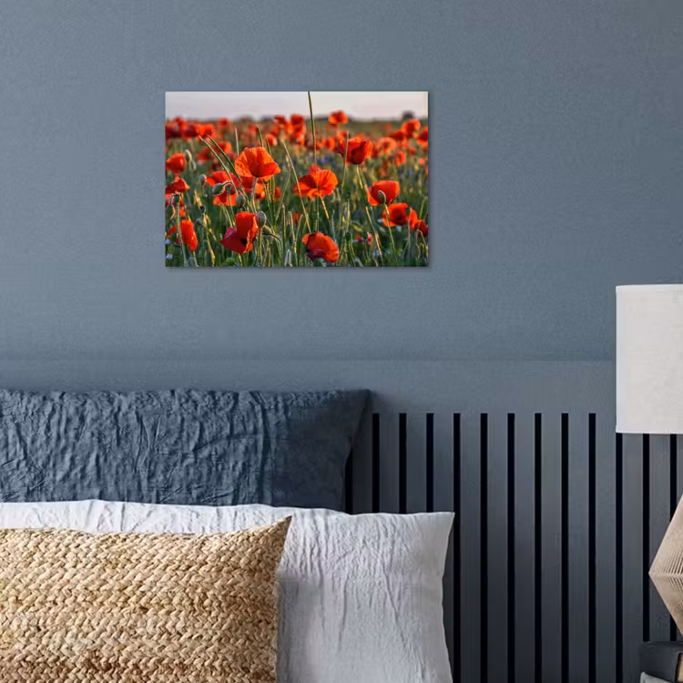 Poster - Bloemen - Klaprozen - Natuur - Rood — 3