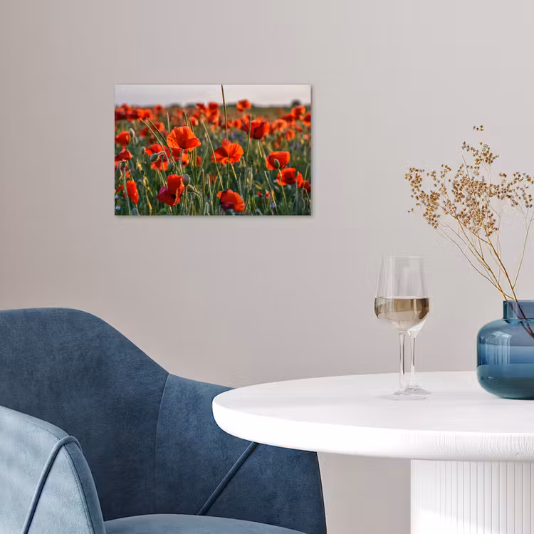 Poster - Bloemen - Klaprozen - Natuur - Rood — 4