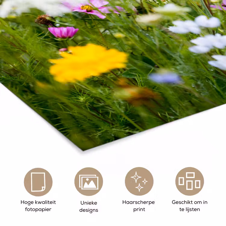 Poster - Bloemen - Natuur - Groen - Gras - Paars - Wit — 5