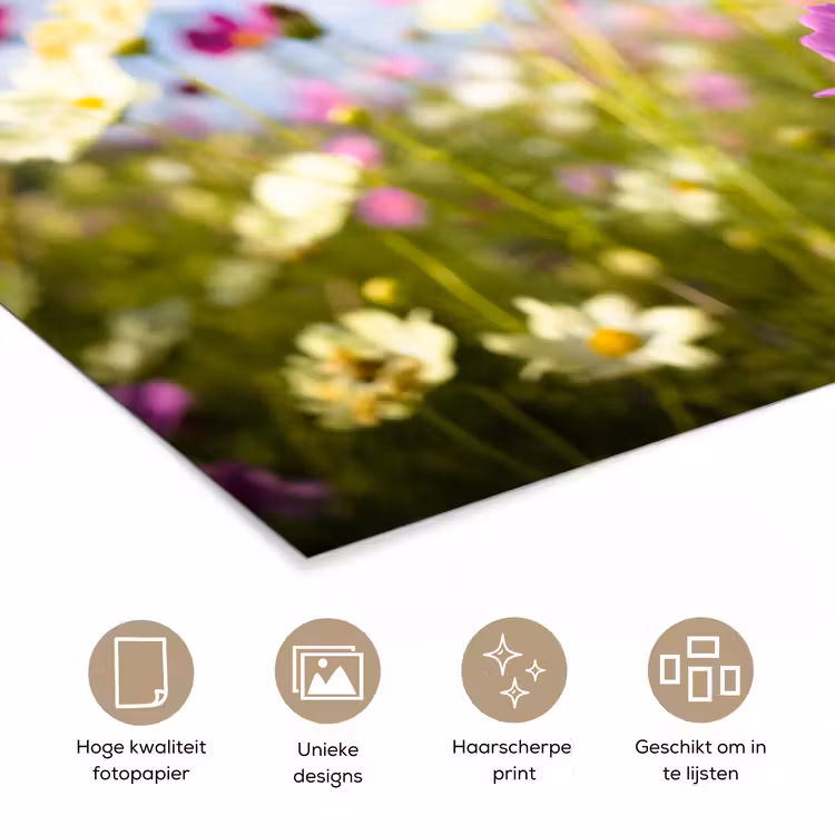 Poster - Bloemen - Wei - Paars - Gras - Wit - Wolken - Blauw — 5