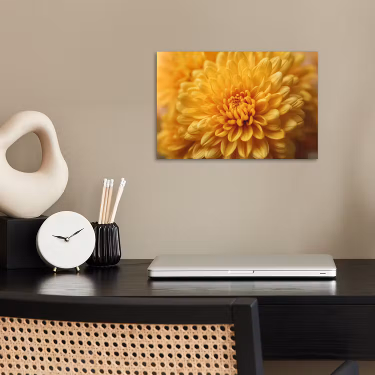 Poster - Geel - Chrysant - Zachtheid — 2