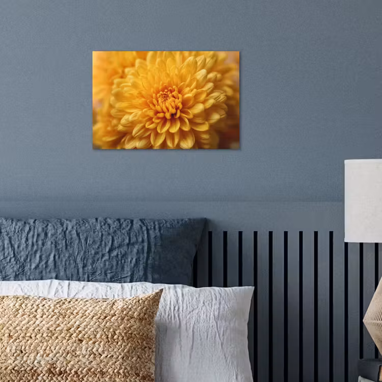 Poster - Geel - Chrysant - Zachtheid — 3