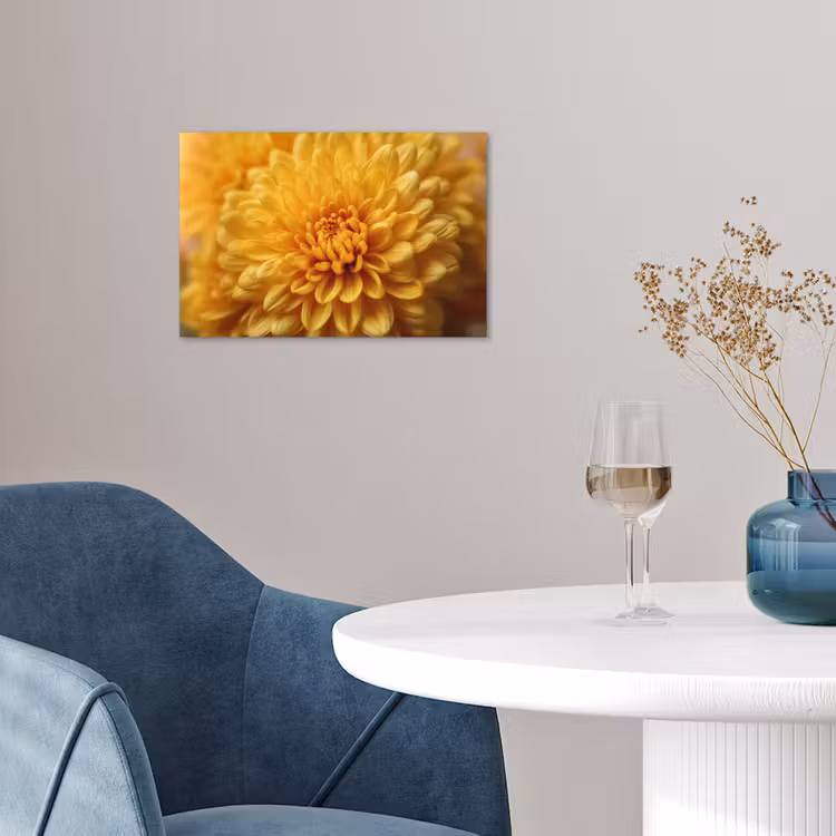 Poster - Geel - Chrysant - Zachtheid — 4