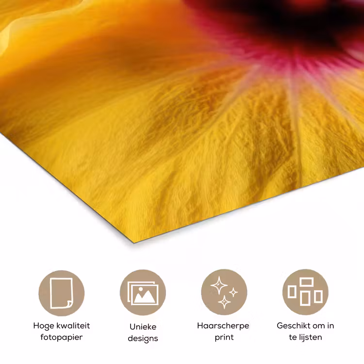 Poster - Geel - Hibiscus - Tropisch — 5
