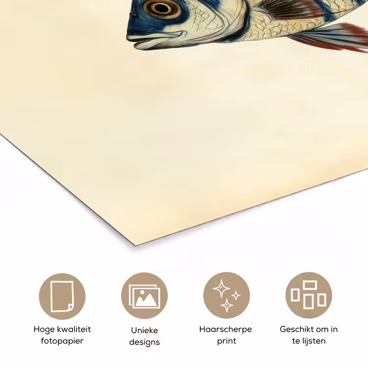 Poster - Gestreept - Donkerblauw - Rugvin - Vis — 5