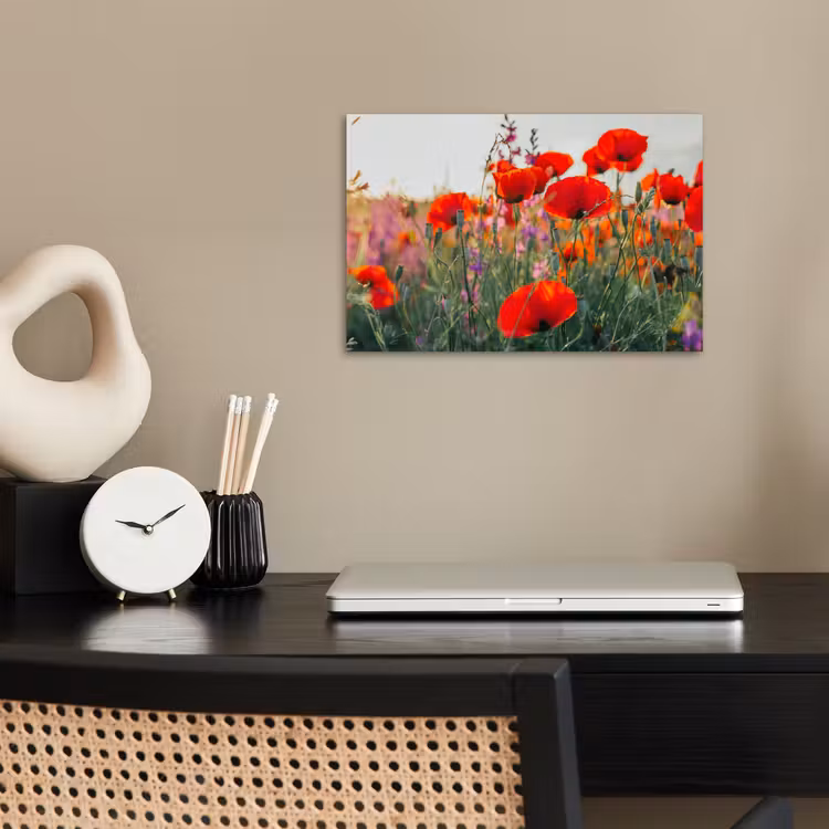 Poster - Klaproos - Bloemen - Rood - Paars - Weide — 2