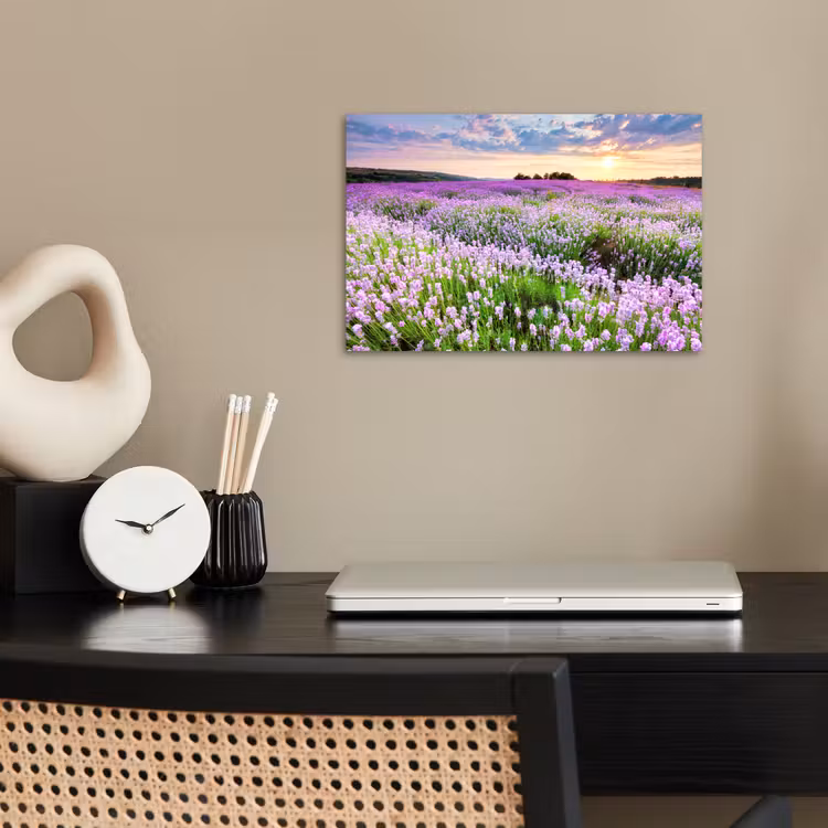Poster - Lavendel - Bloemen - Zonsondergang - Paars - Weide — 2