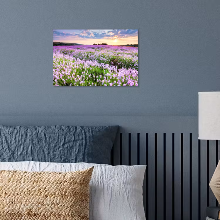 Poster - Lavendel - Bloemen - Zonsondergang - Paars - Weide — 3