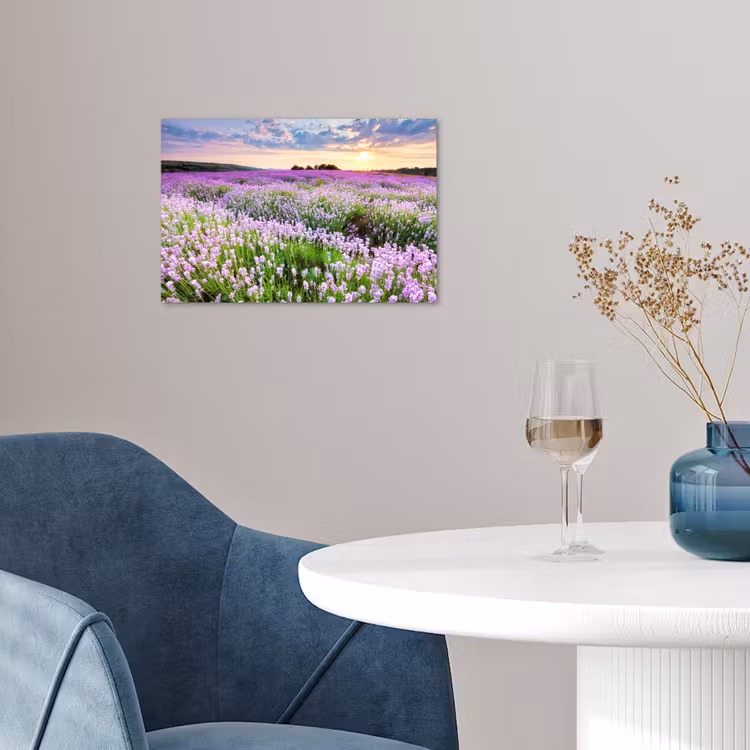 Poster - Lavendel - Bloemen - Zonsondergang - Paars - Weide — 4