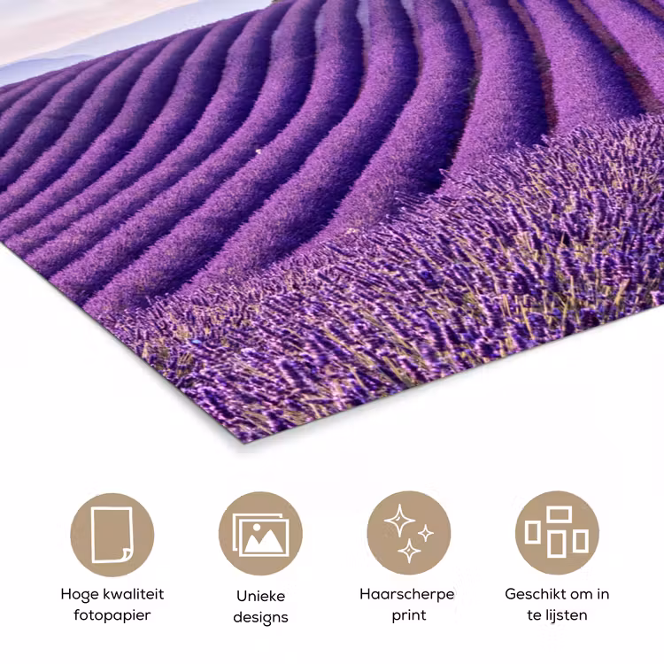 Poster - Lavendel - Natuur - Paars - Bomen - Bloemen — 5
