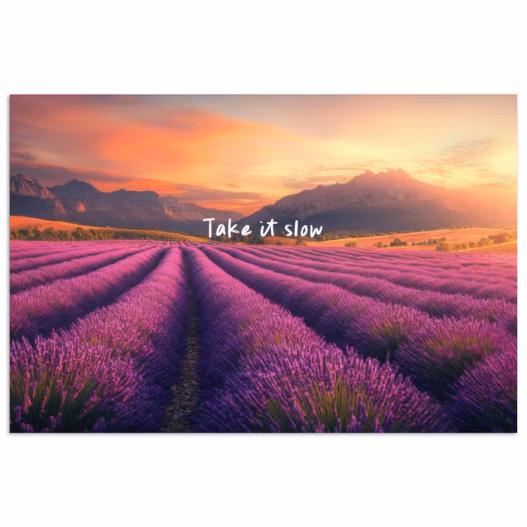Poster - Lavendelveld - Quote - Zonsondergang — 1