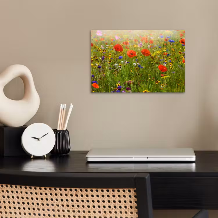 Poster - Lente - Bloemen - Rood - Klaproos - Gras - Groen — 2