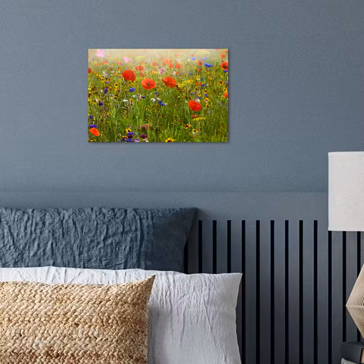Poster - Lente - Bloemen - Rood - Klaproos - Gras - Groen — 3