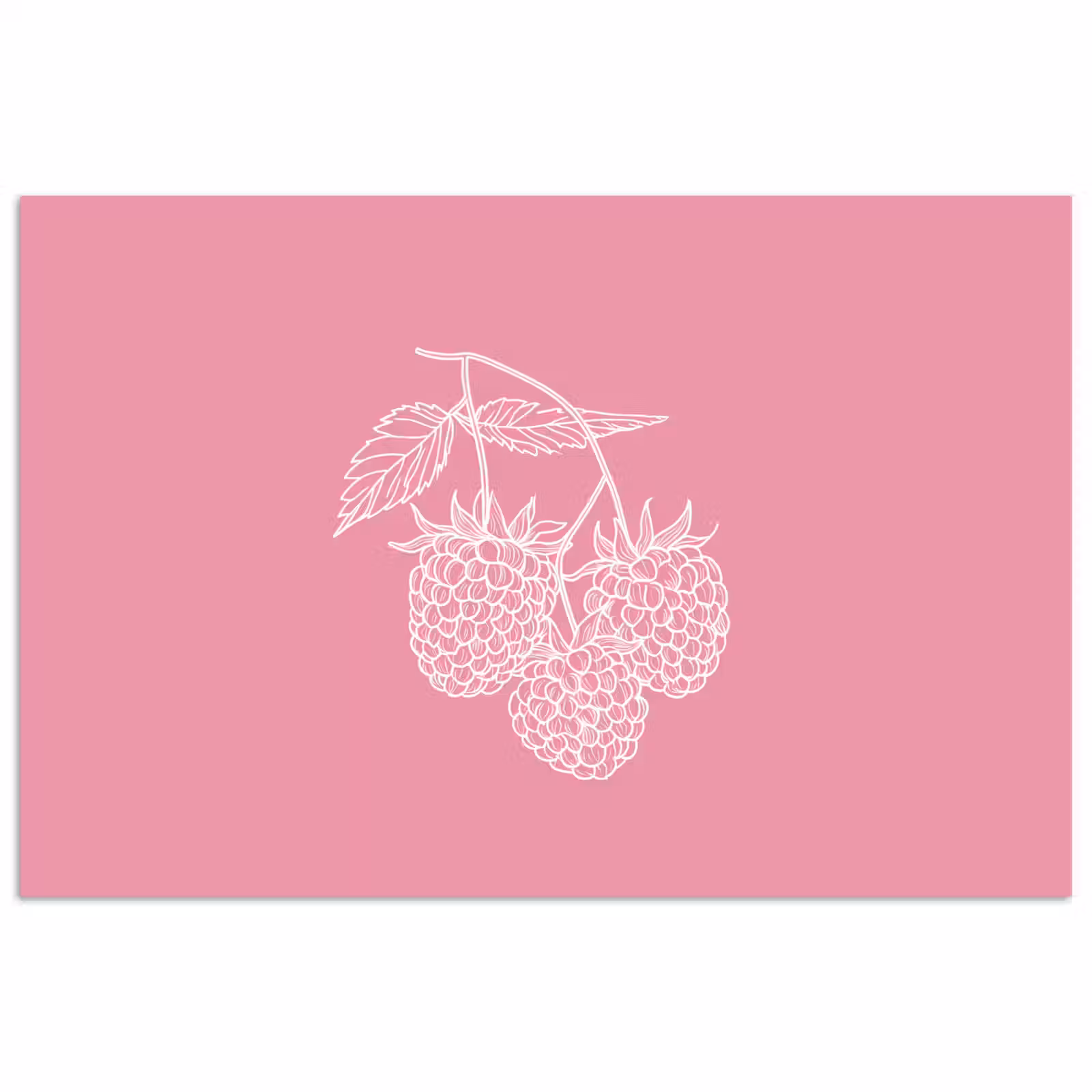 Poster - Frambozen - Steel - Getekend - Roze — 1