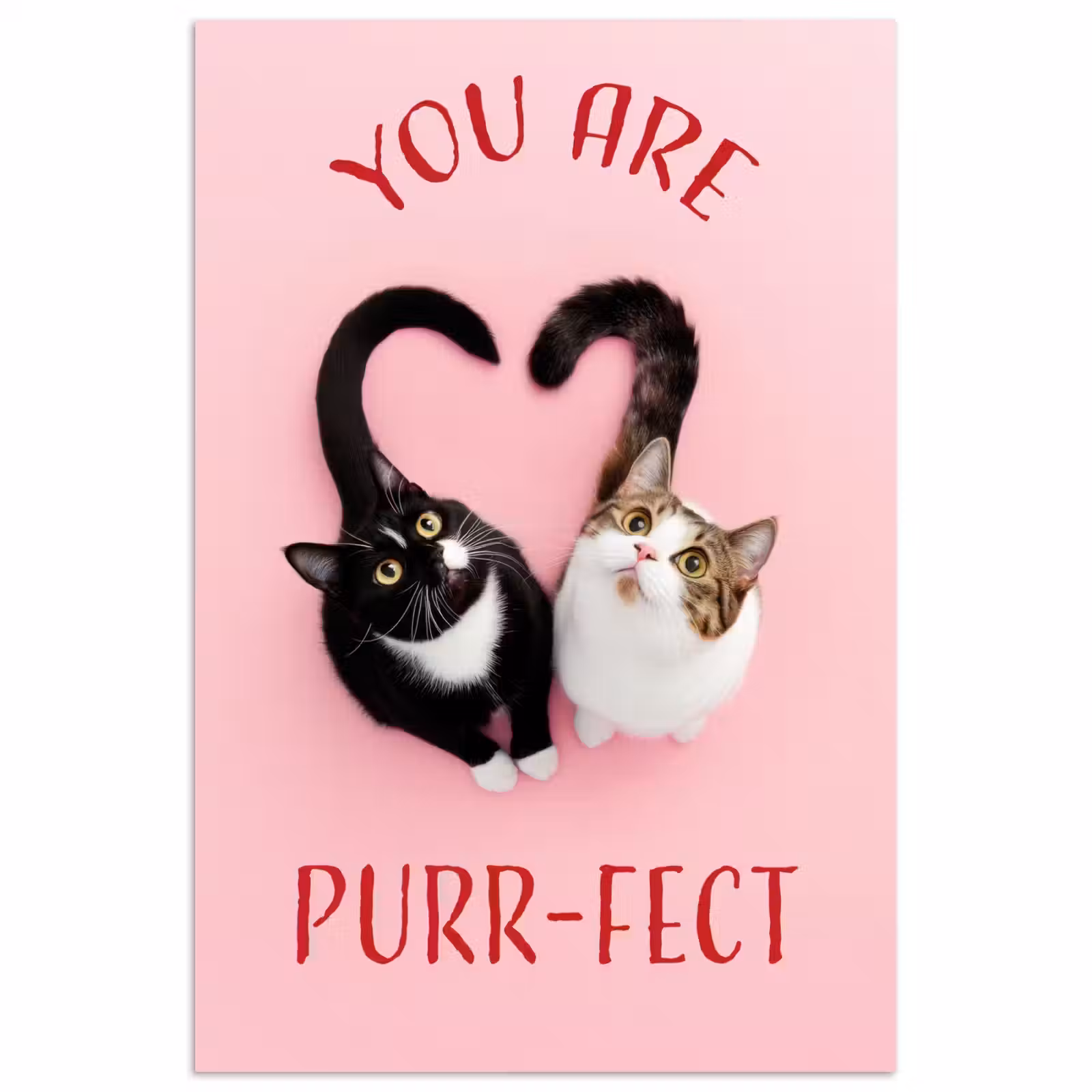 Poster - Kat - Hart - Tekst - Valentijn — 1
