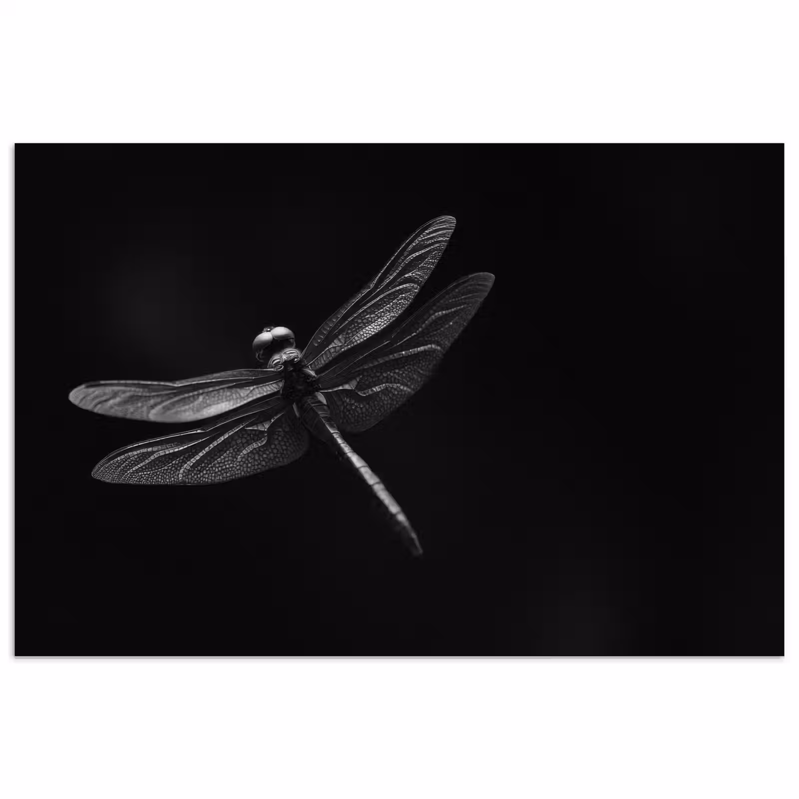 Poster - Libelle - Dieren - Zwart - Insect — 1