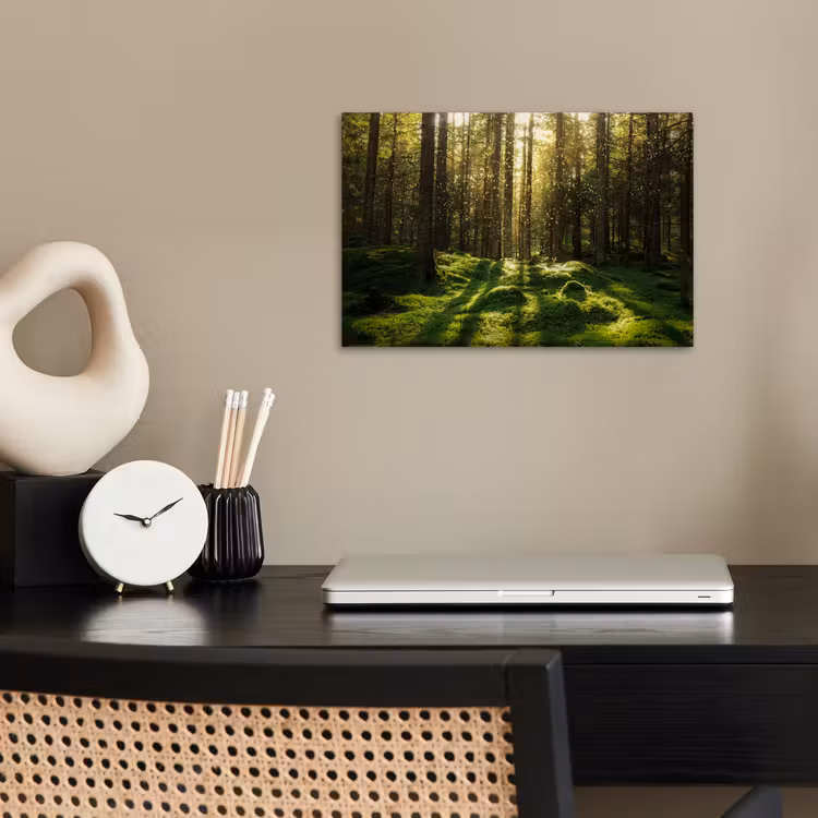 Poster - Bomen - Bos - Mos - Planten - Zon - Natuur — 2