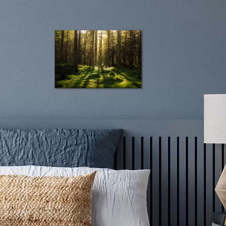 Poster - Bomen - Bos - Mos - Planten - Zon - Natuur — 3