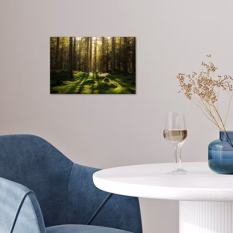 Poster - Bomen - Bos - Mos - Planten - Zon - Natuur — 4