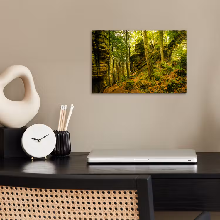 Poster - Bomen - Steen - Bos - Natuur - Planten — 2