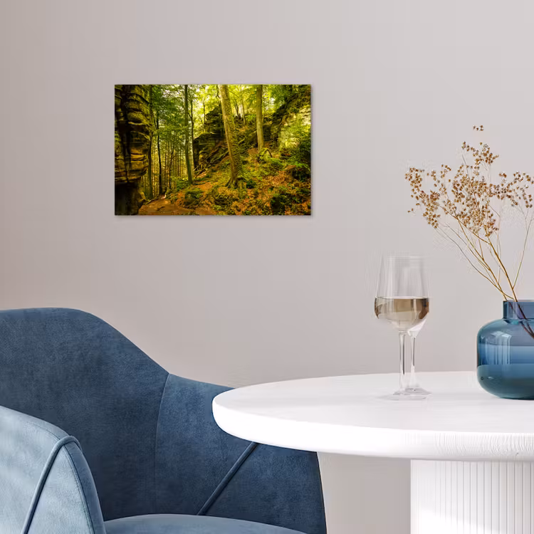 Poster - Bomen - Steen - Bos - Natuur - Planten — 4