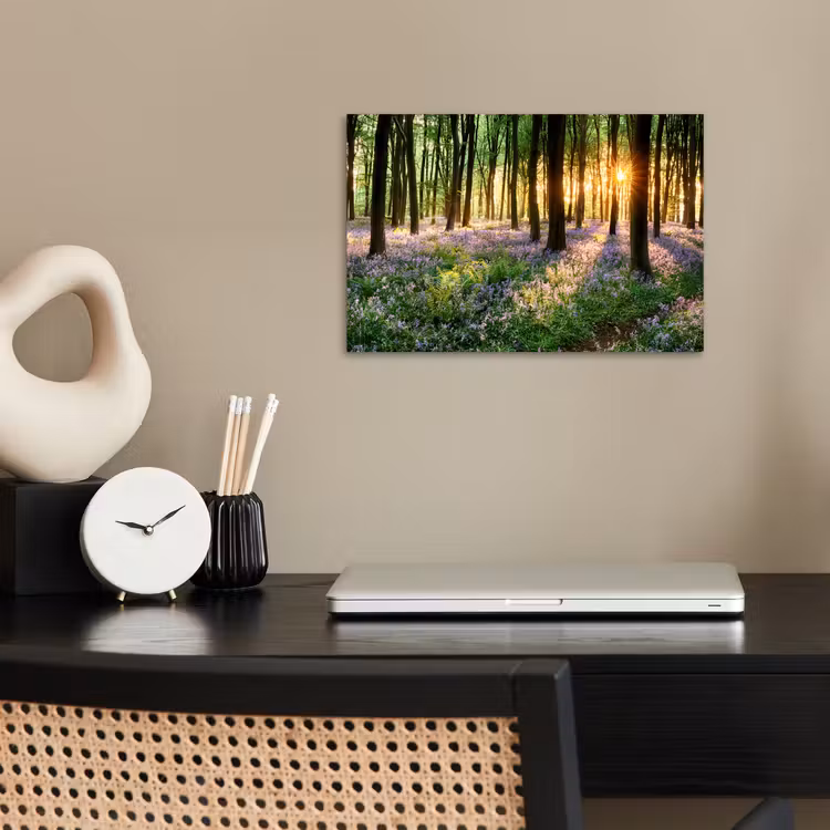 Poster - Bos - Bloemen - Lavendel - Zon - Paars - Natuur — 2