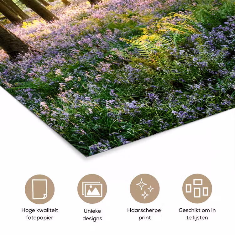 Poster - Bos - Bloemen - Lavendel - Zon - Paars - Natuur — 5