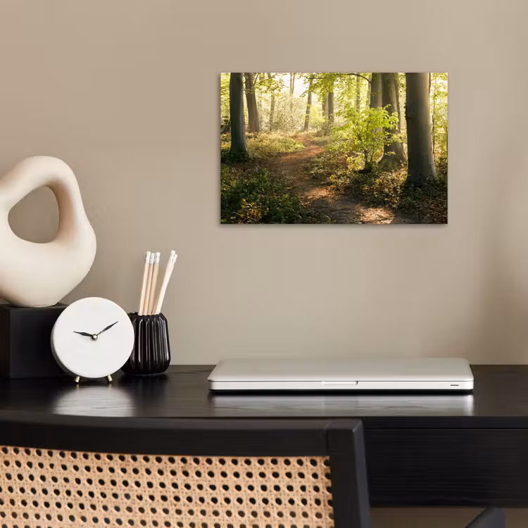 Poster - Bos - Bomen - Pad - Zon - Planten - Bladeren - Natuur — 2