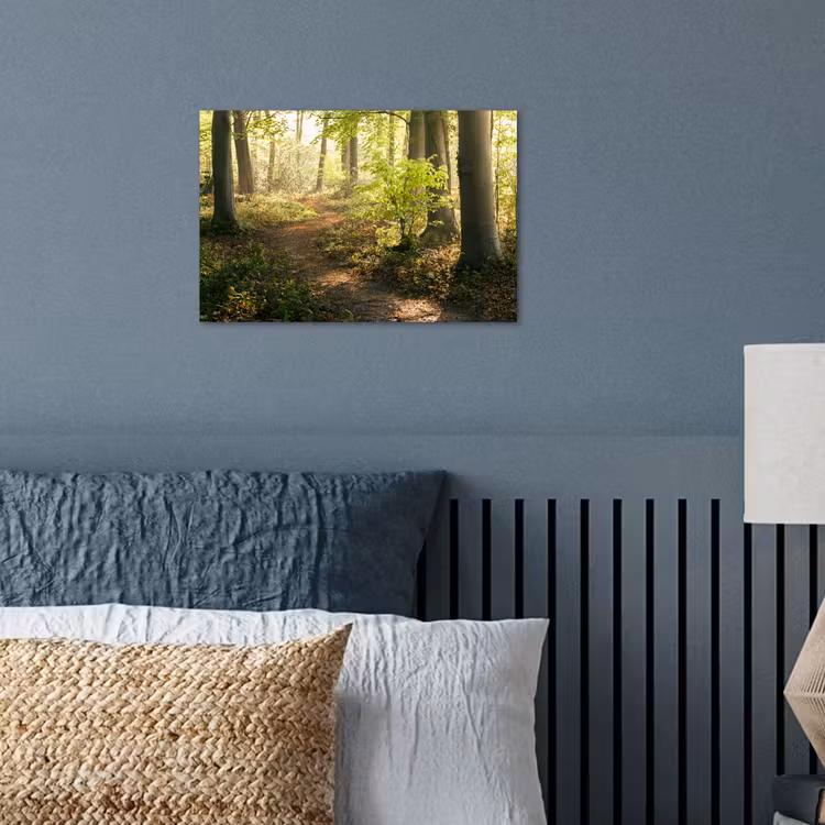 Poster - Bos - Bomen - Pad - Zon - Planten - Bladeren - Natuur — 3