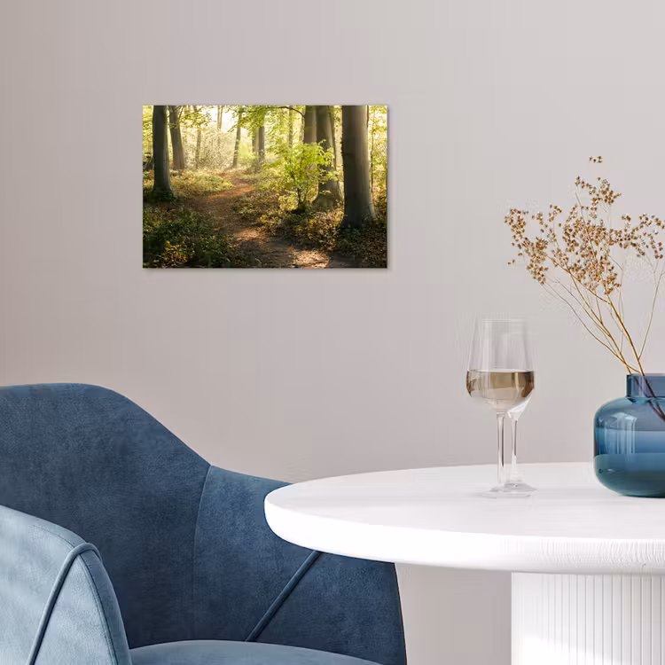 Poster - Bos - Bomen - Pad - Zon - Planten - Bladeren - Natuur — 4