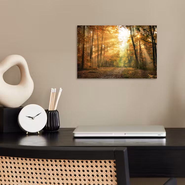 Poster - Bos - Herfst - Zon - Landschap - Natuur - Bomen - Bladeren — 2