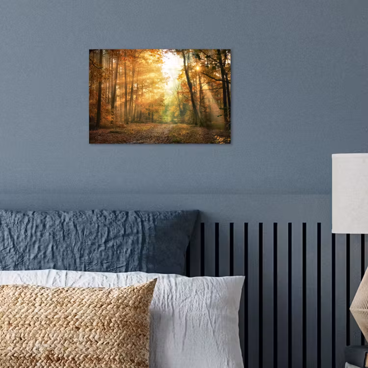 Poster - Bos - Herfst - Zon - Landschap - Natuur - Bomen - Bladeren — 3