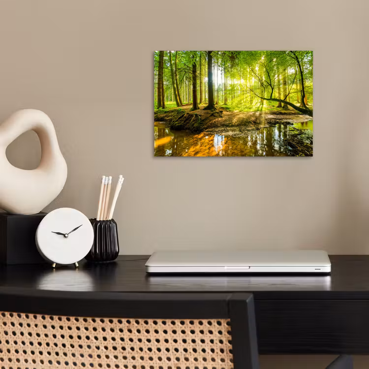 Poster - Bos - Landschap - Water - Bomen - Zon - Groen - Natuur — 2