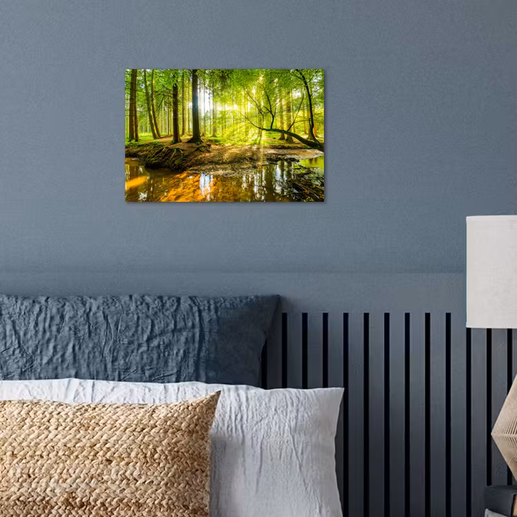 Poster - Bos - Landschap - Water - Bomen - Zon - Groen - Natuur — 3