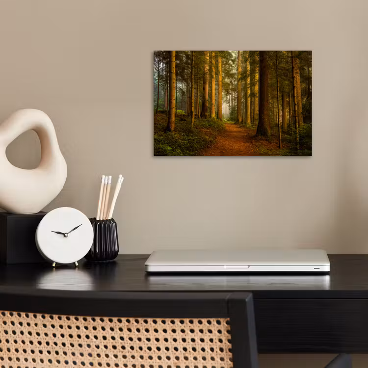 Poster - Bos - Natuur - Bomen - Landschap - Bladeren — 2