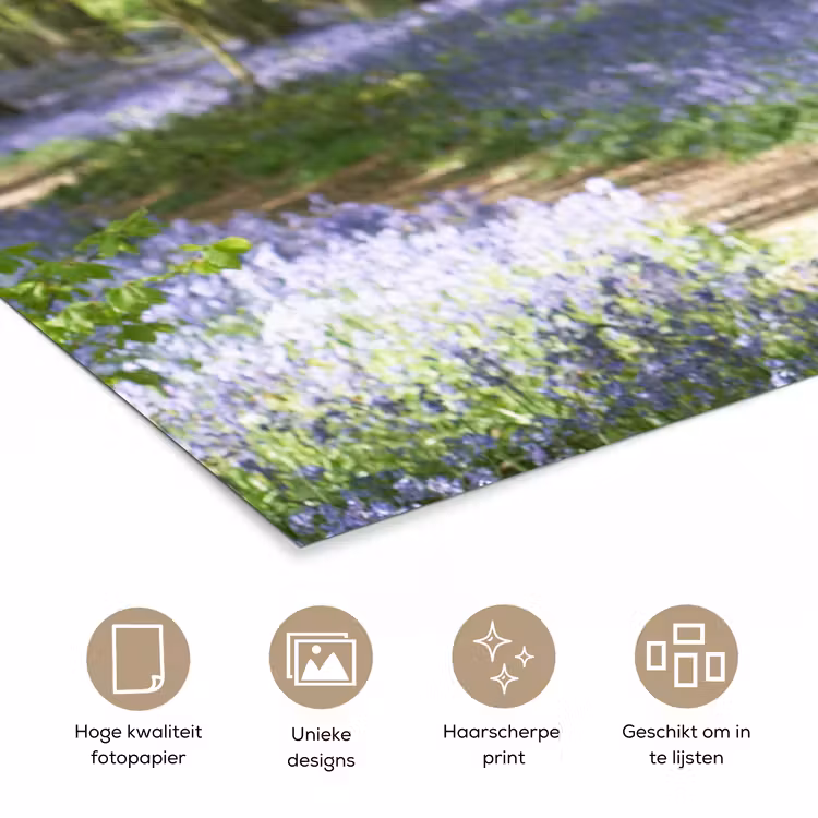 Poster - Bos - Pad - Bloemen - Paars - Groen - Natuur — 5
