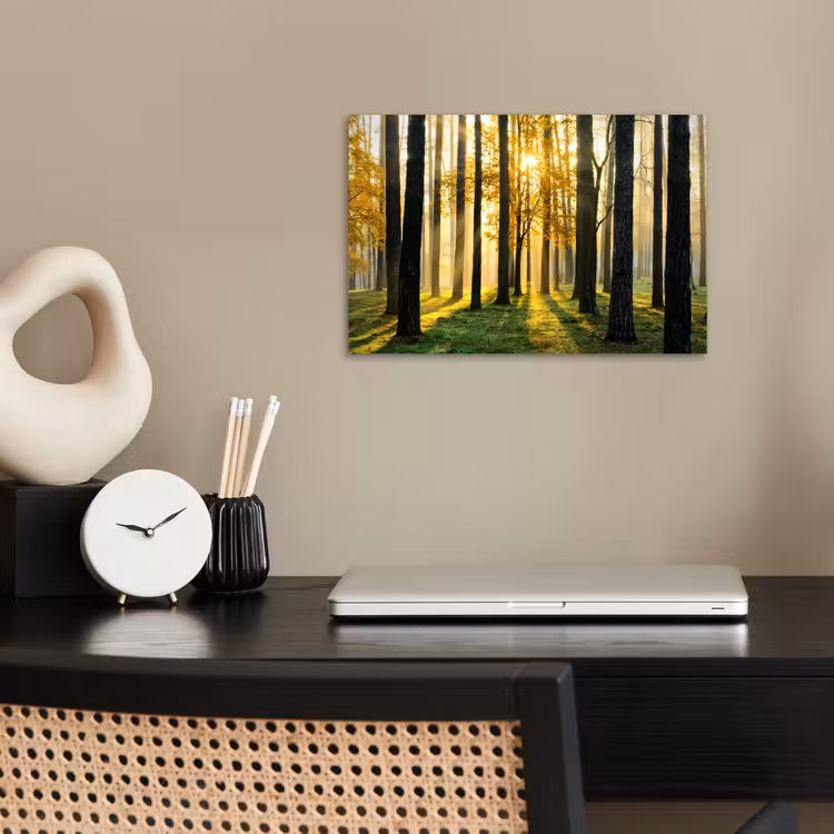 Poster - Bos - Zon - Bomen - Gras - Landschap - Natuur — 2