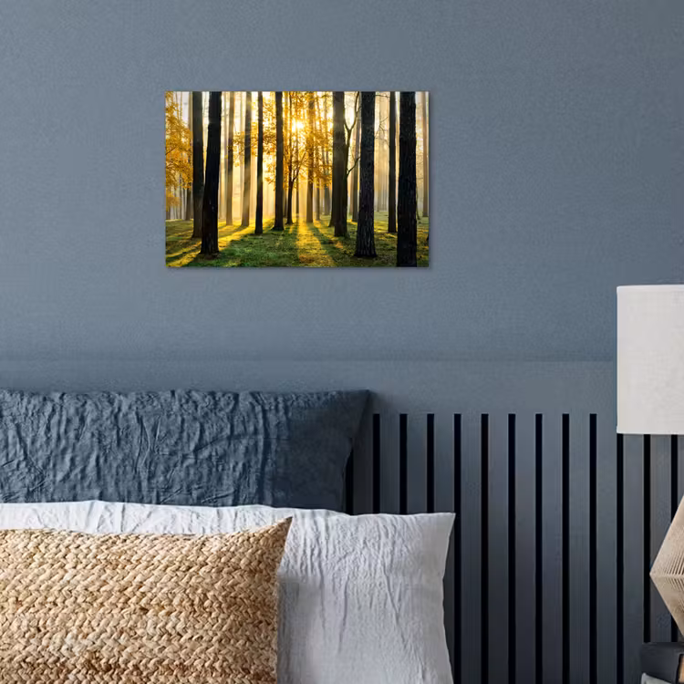 Poster - Bos - Zon - Bomen - Gras - Landschap - Natuur — 3