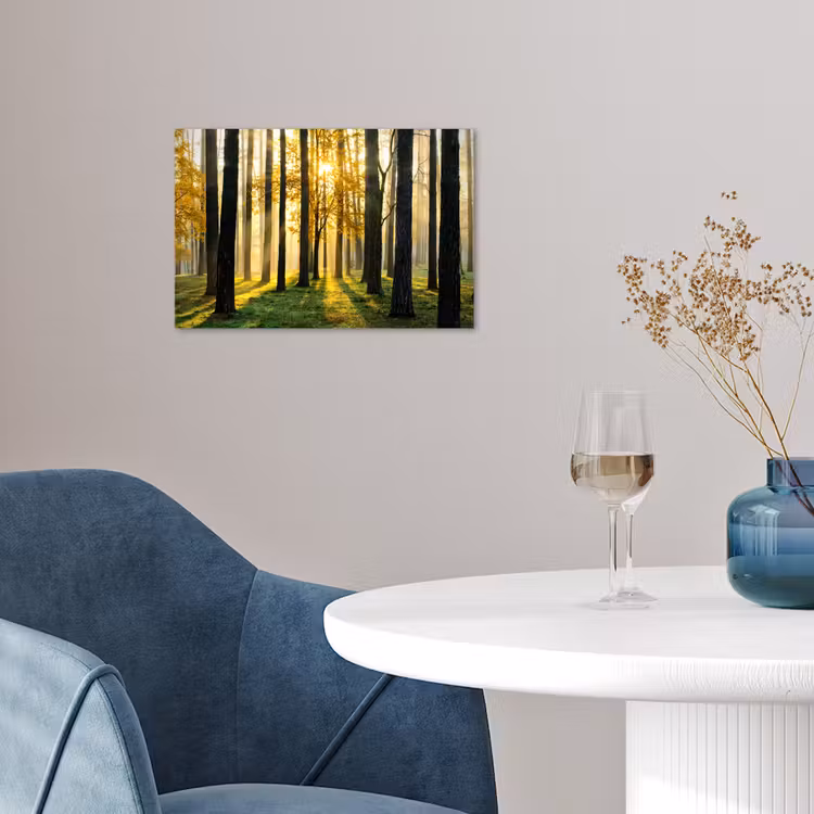 Poster - Bos - Zon - Bomen - Gras - Landschap - Natuur — 4