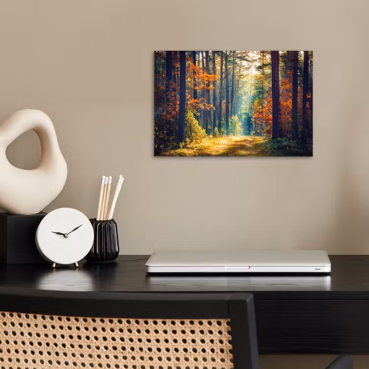Poster - Bos - Zon - Natuur - Herfst — 2