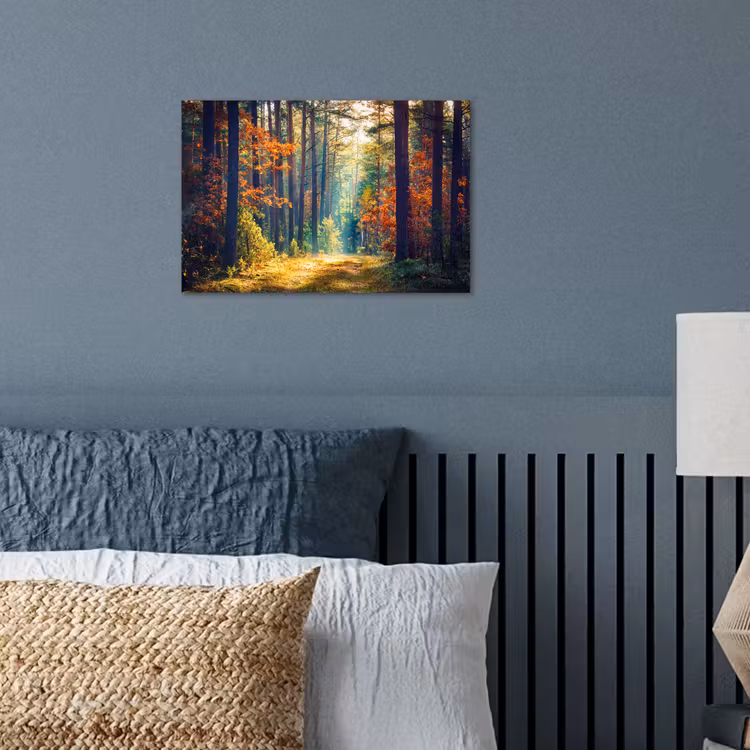 Poster - Bos - Zon - Natuur - Herfst — 3