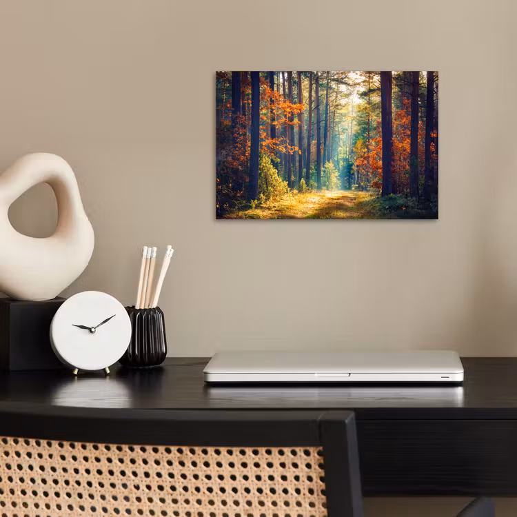 Poster - Bos - Zon - Natuur - Herfst — 2
