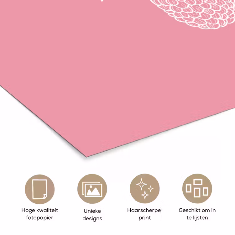 Poster - Frambozen - Steel - Getekend - Roze — 5